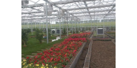 谷城特色農業信息咨詢服務 賦能鄉村振興，創造產業輝煌