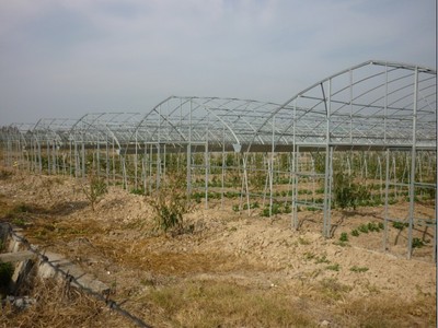 源農溫室 專業溫室大棚銷售、安裝與維修服務