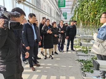 2020年青島市“冬季農(nóng)技暖陽行動”啟動 設(shè)施農(nóng)業(yè)新技術(shù)現(xiàn)場觀摩會成功舉辦